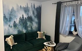 Apartament Koko Białka Tatrzańska